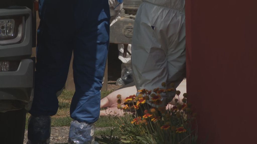 Eutanazija svinja u Jagodnjaku - 4