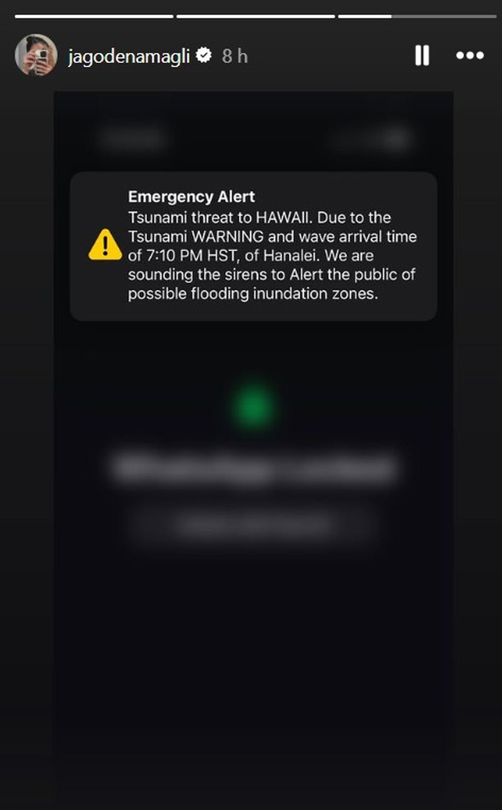 Jelisaveta Orašanin Teodosić na Instagramu