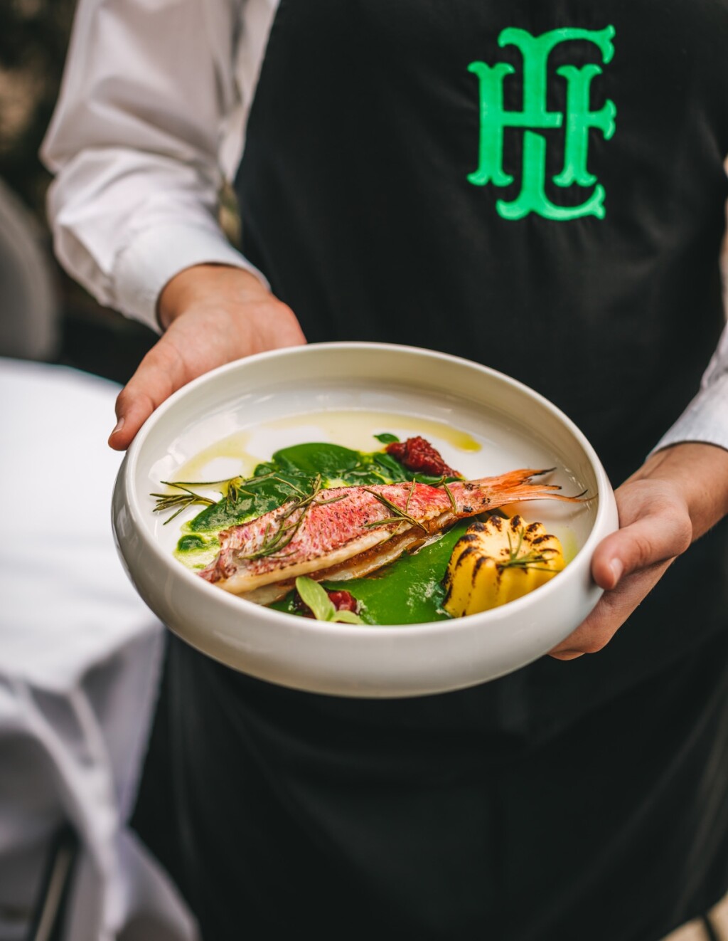 Trilja, kora od sušene rajčice, velouté od bosiljka