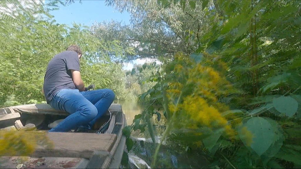 Komarci u Slavoniji - 1