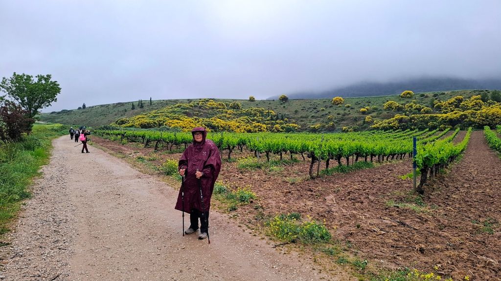 Camino - 68