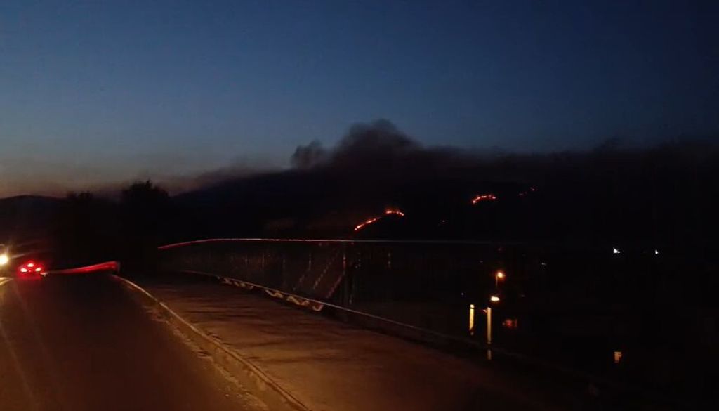 Požar kod Metkovića - 2
