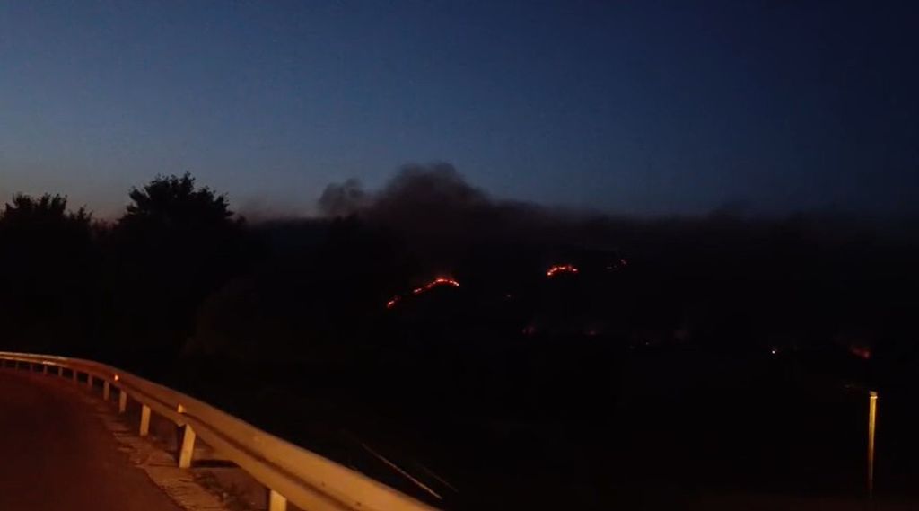 Požar kod Metkovića - 2