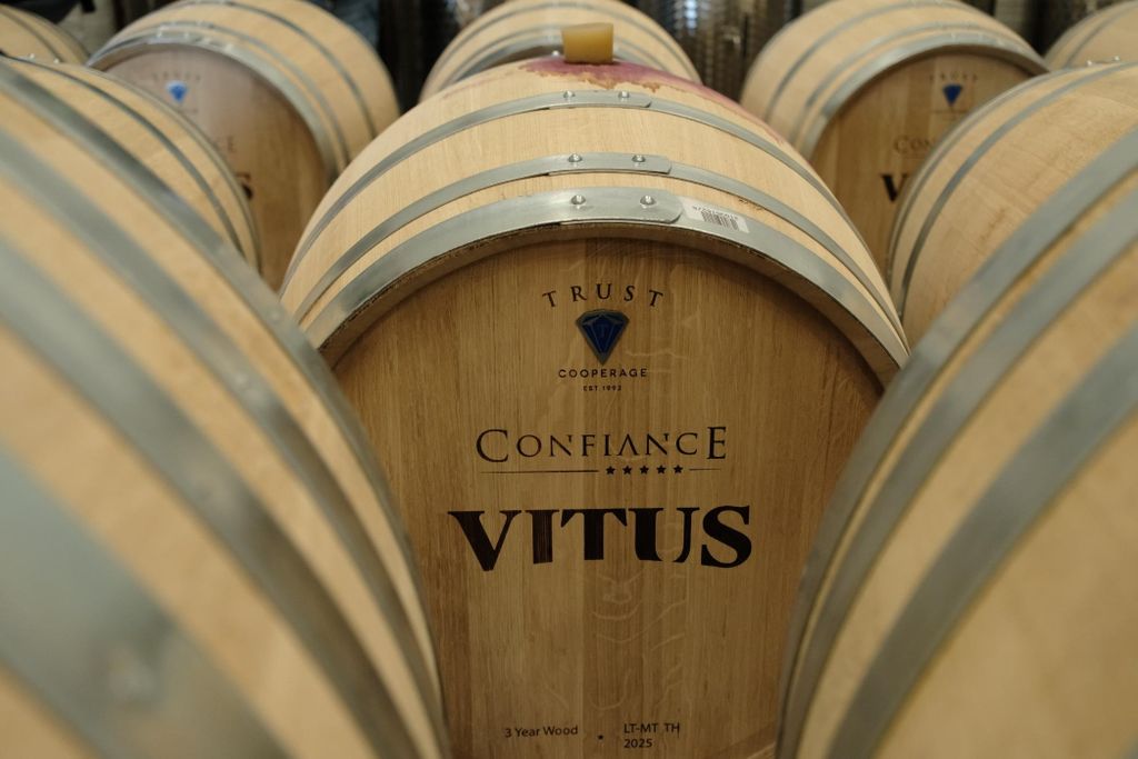 Vitus - 7