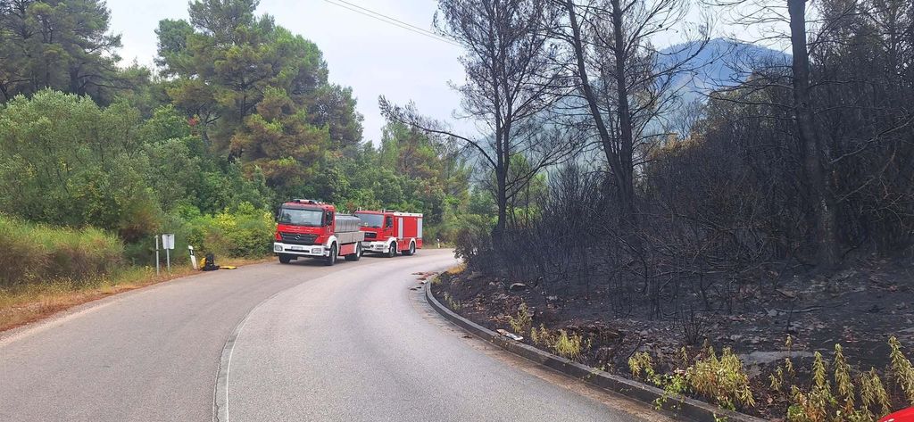 Posljedice požara na Korčuli