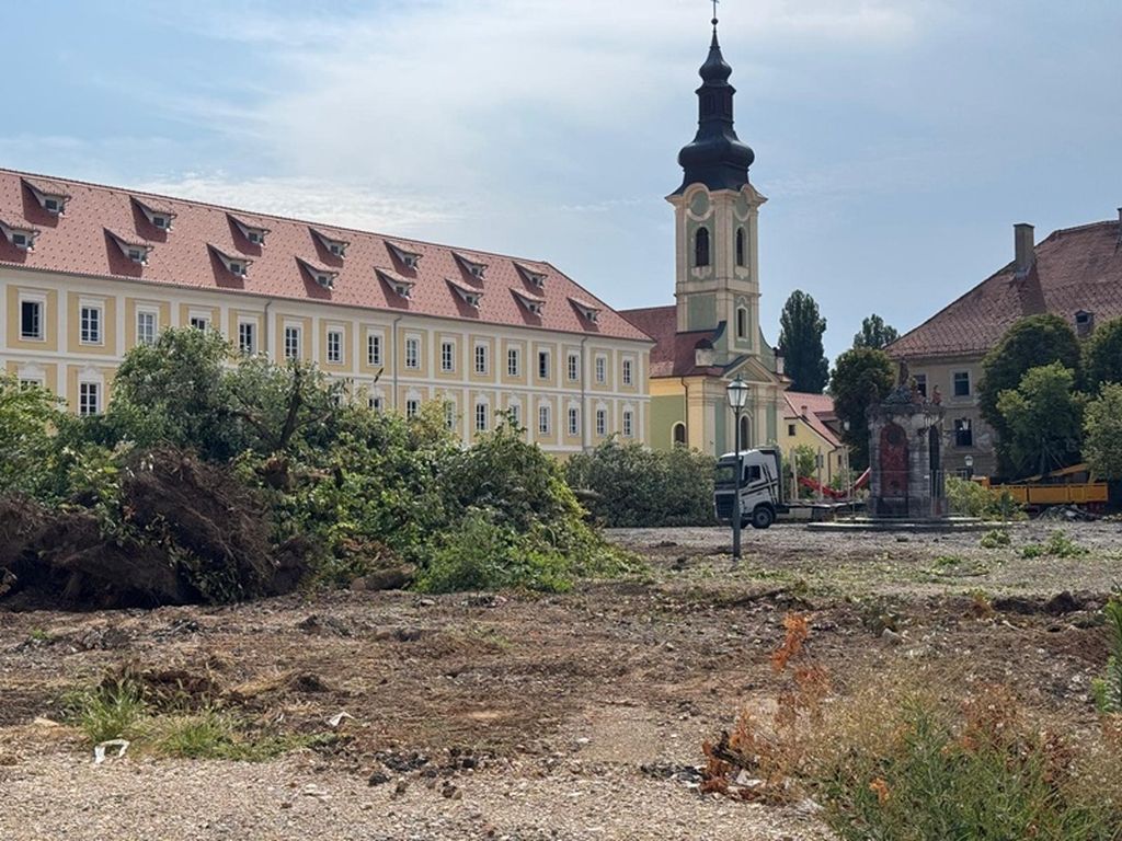 Srušena stabla lipa u Karlovcu - 2