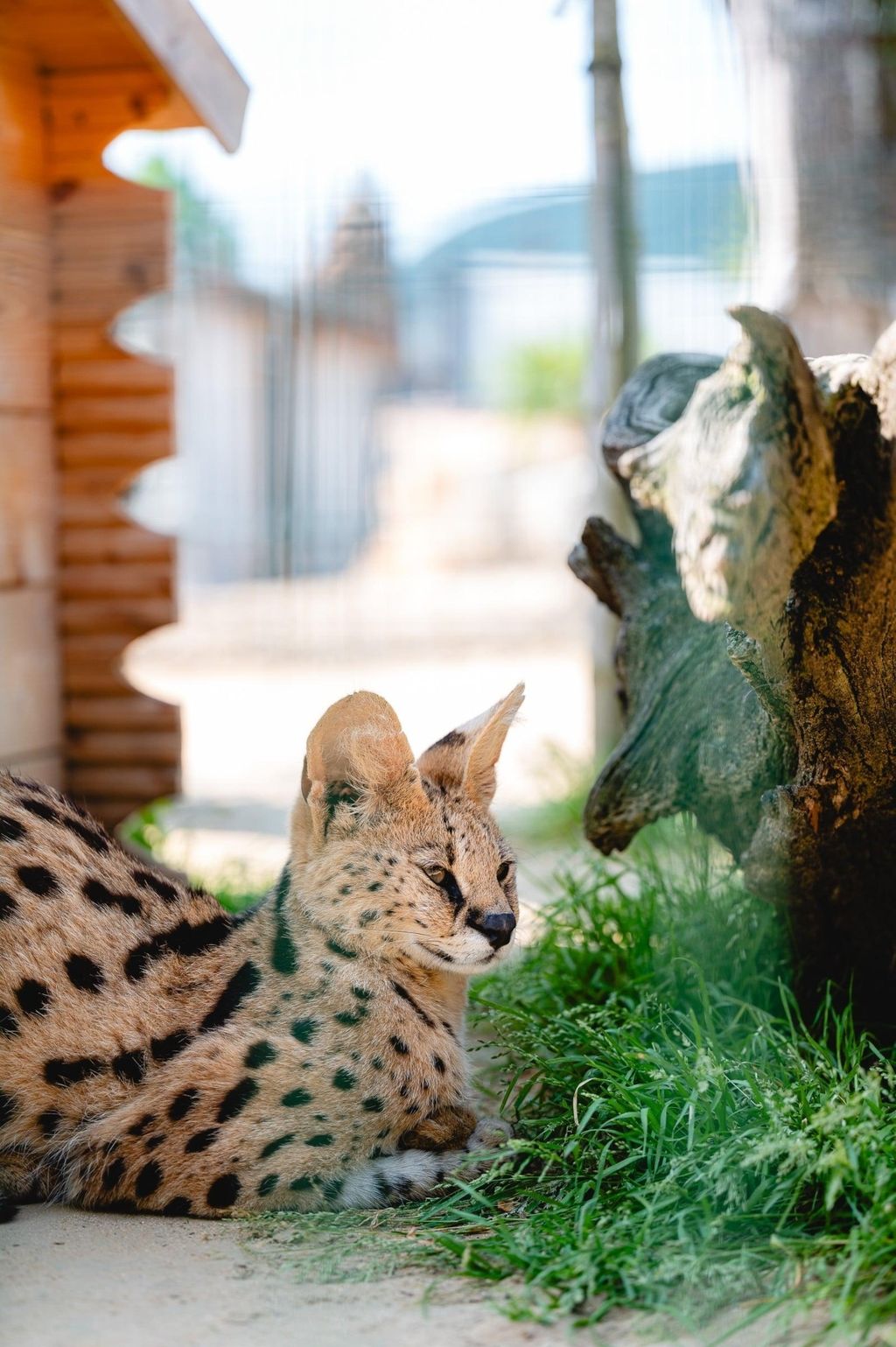 Zoo Land u Slovenskim Konjicama