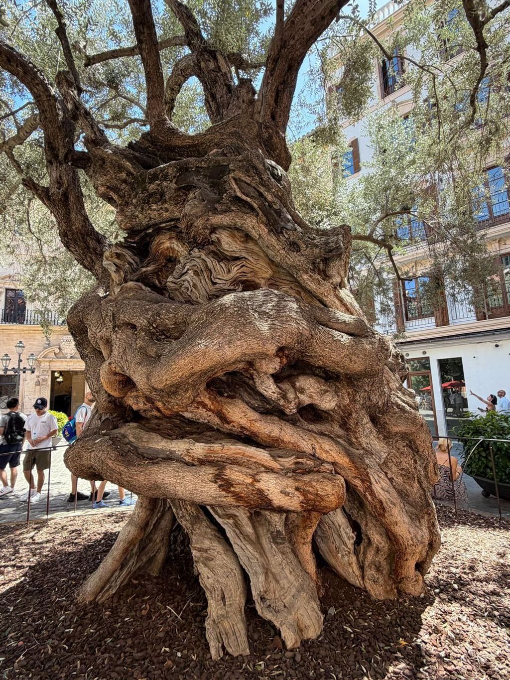 Mallorca - 4