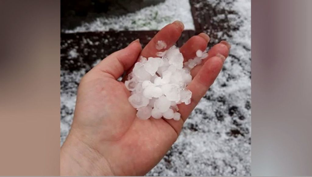 Tuča uništila vrtove (Foto: Dnevnik.hr) - 2