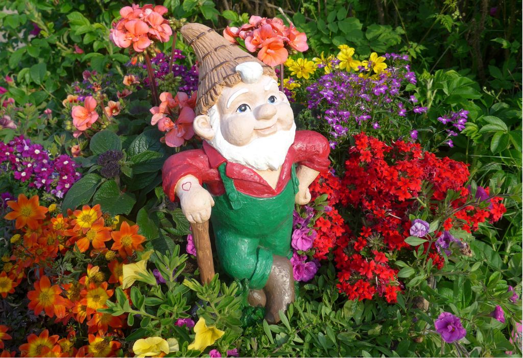 Patuljak je najslađi ukras vrta - 1