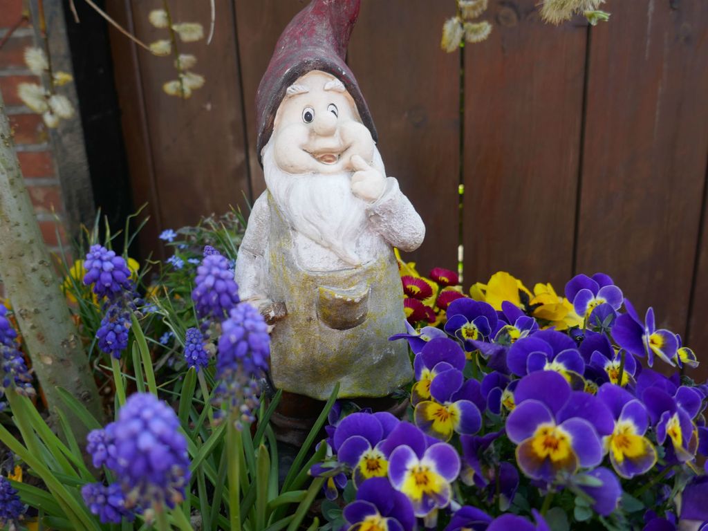 Patuljak je najslađi ukras vrta - 8