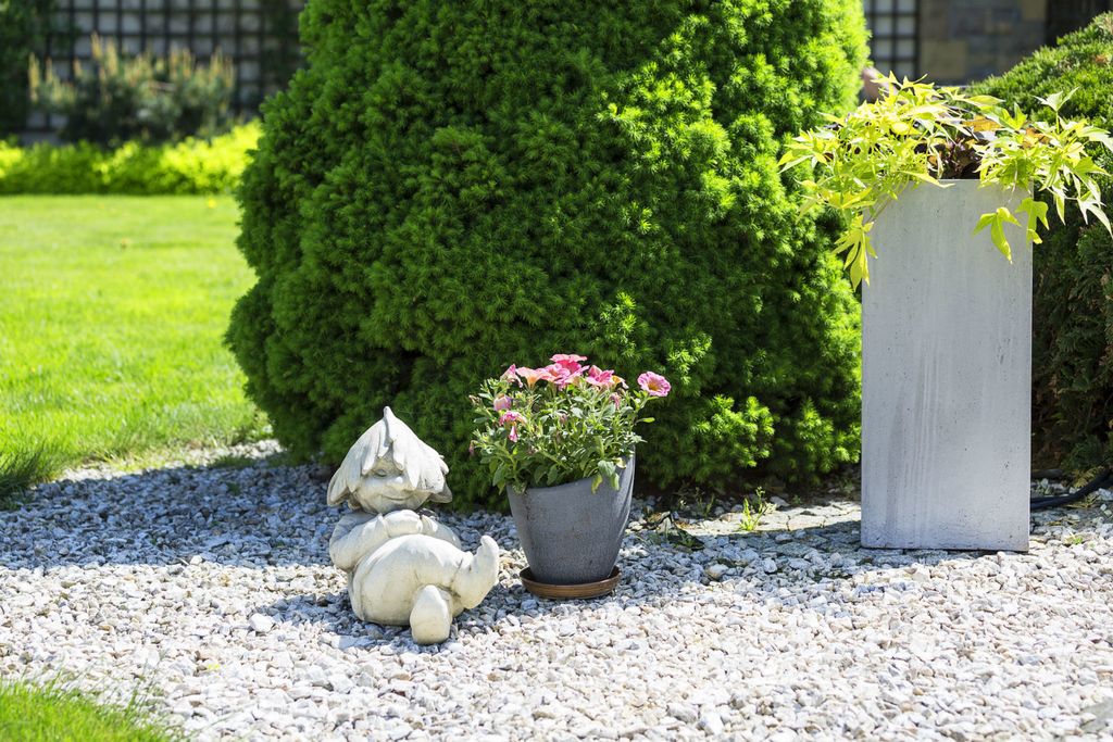 Patuljak je najslađi ukras vrta