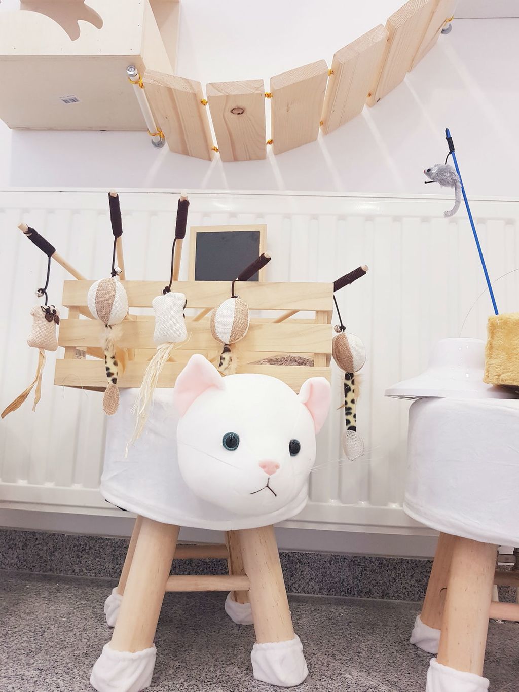 Prvi hotel za mačke u Hrvatskoj otvoren je u Dugom Selu