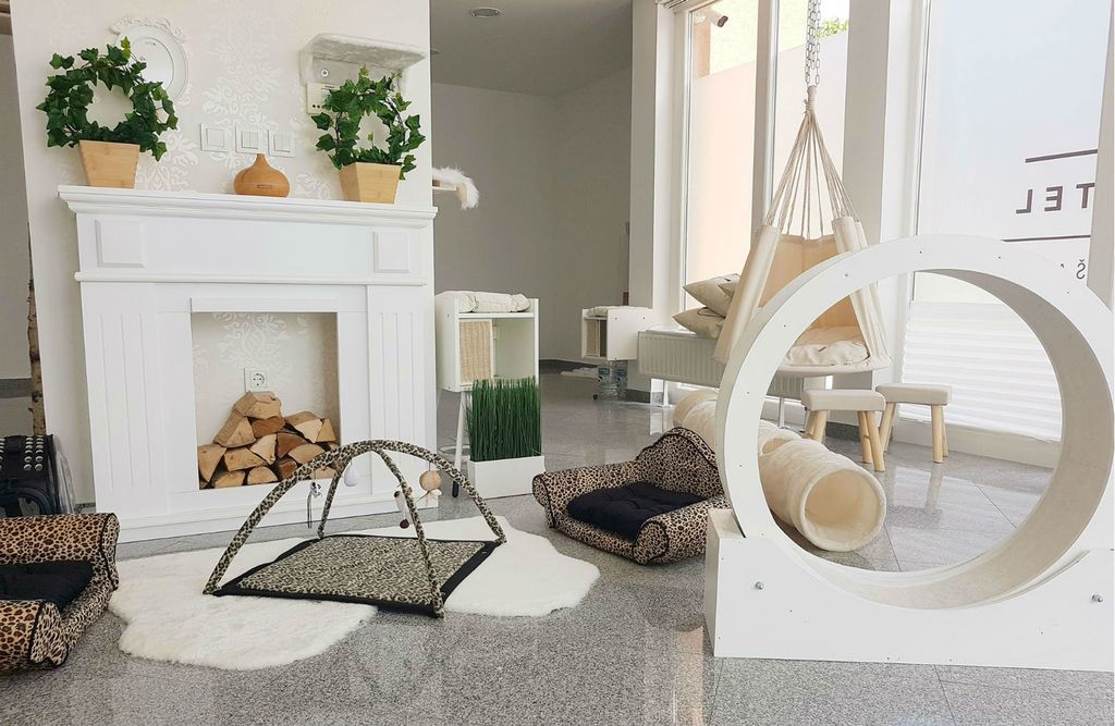 Prvi hotel za mačke u Hrvatskoj otvoren je u Dugom Selu - 15