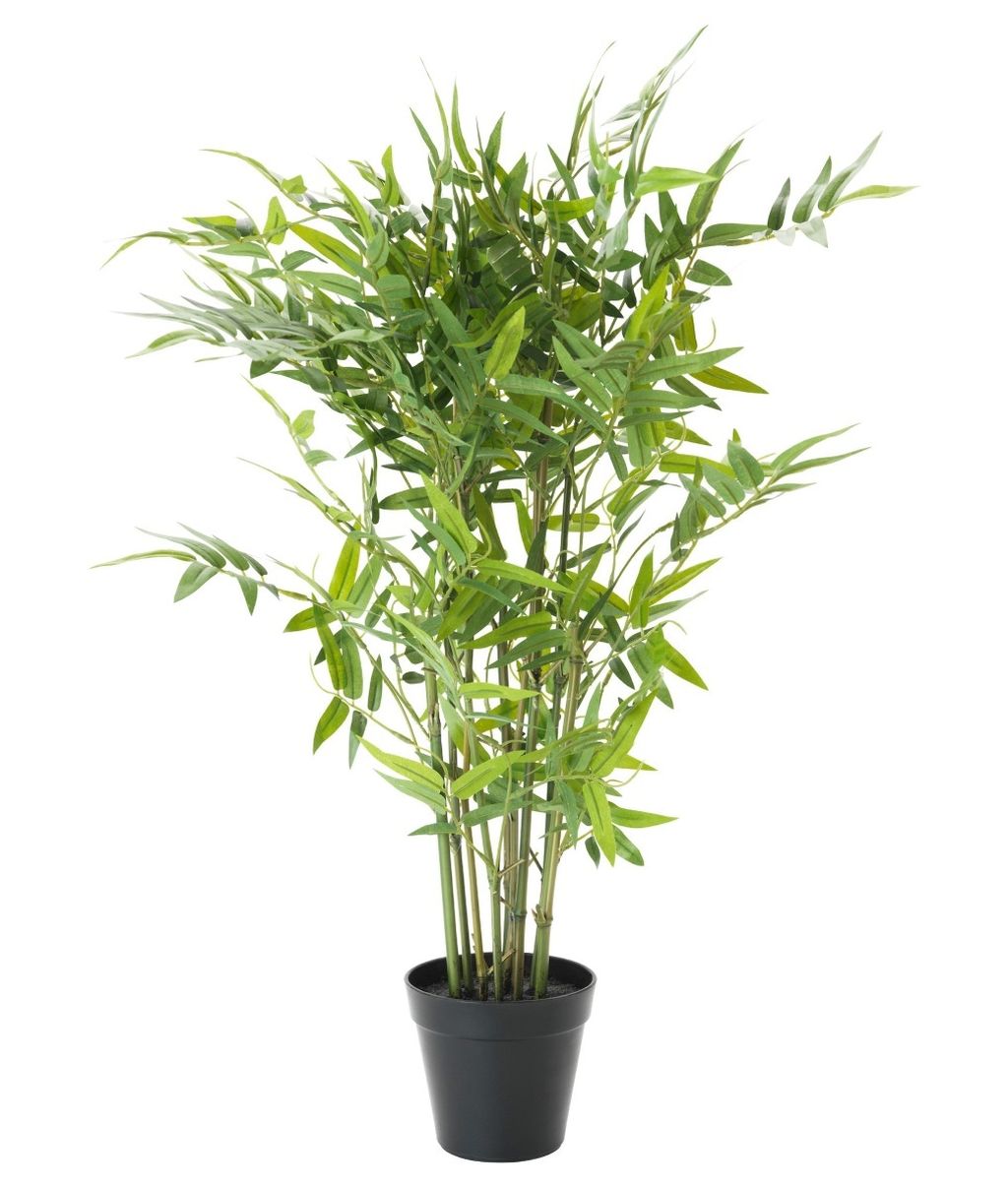 Sitnice za dom koje slave prirodu - 5