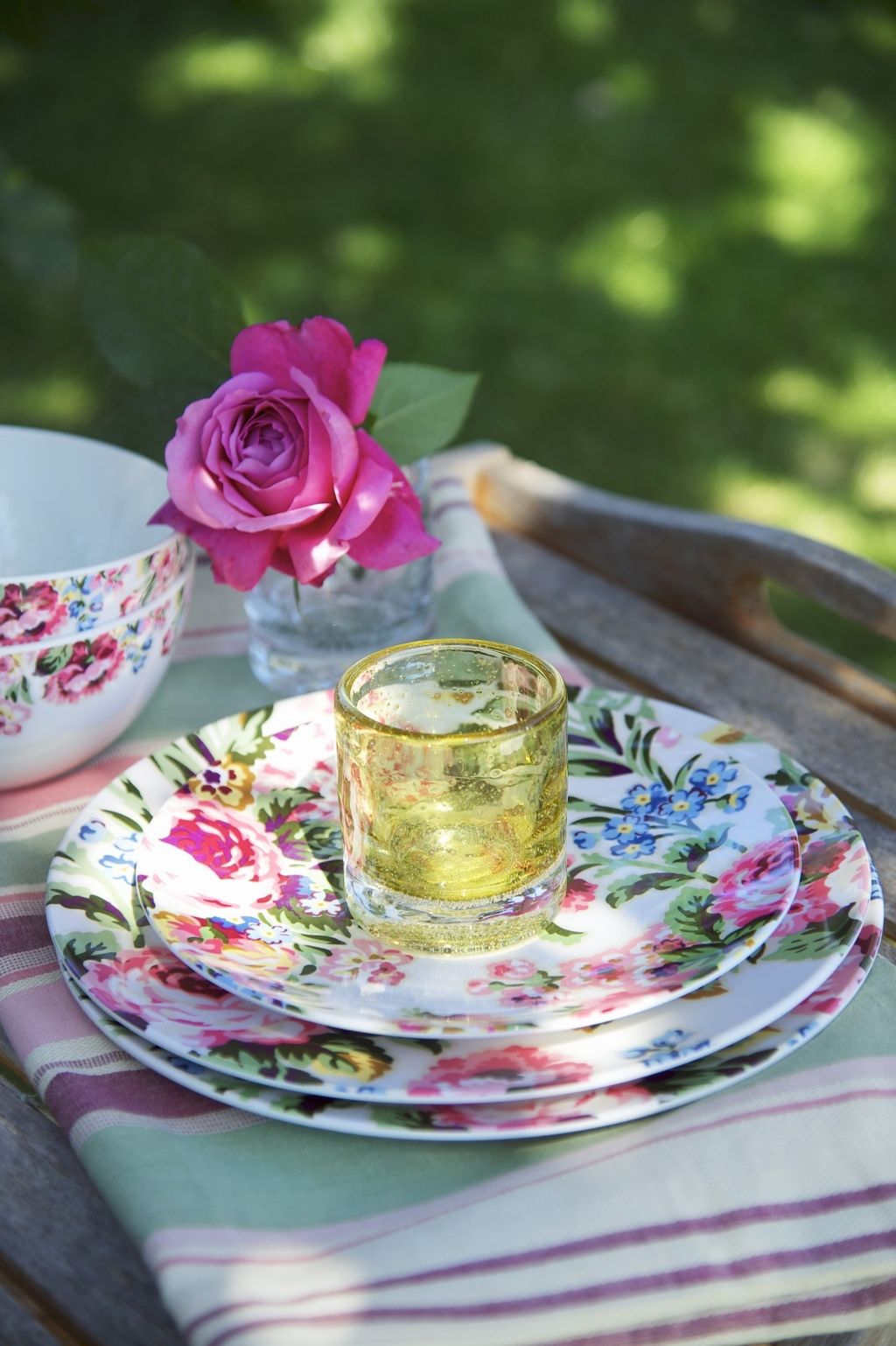 Piknik u dvorištu - 5