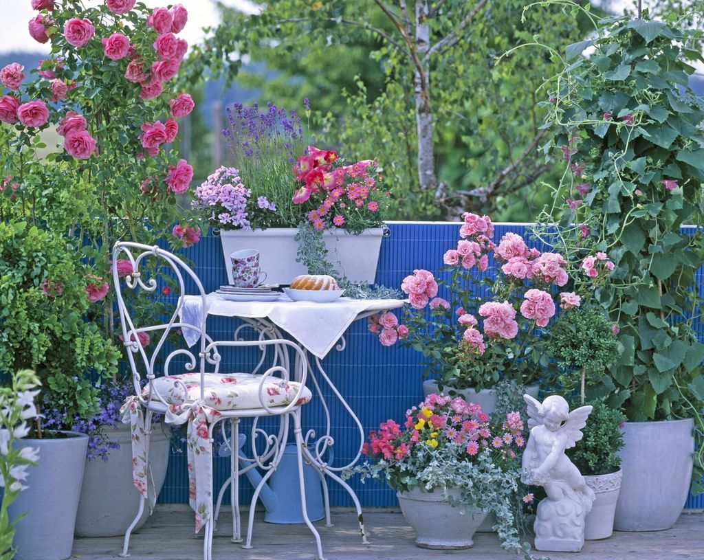 Predivan ružičnjak možete urediti i na balkonu - 1