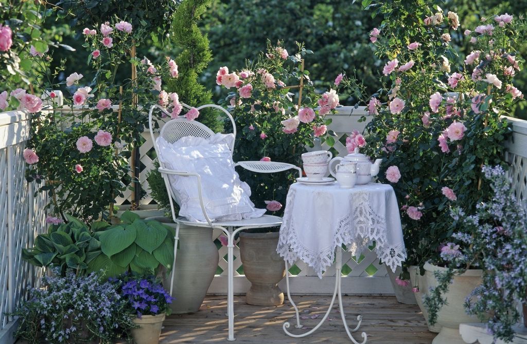 Predivan ružičnjak možete urediti i na balkonu - 4