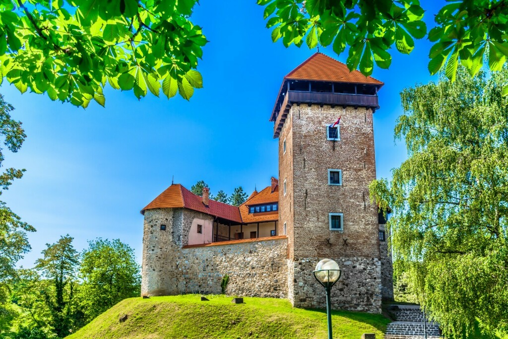Stari grad Dubovac - 1