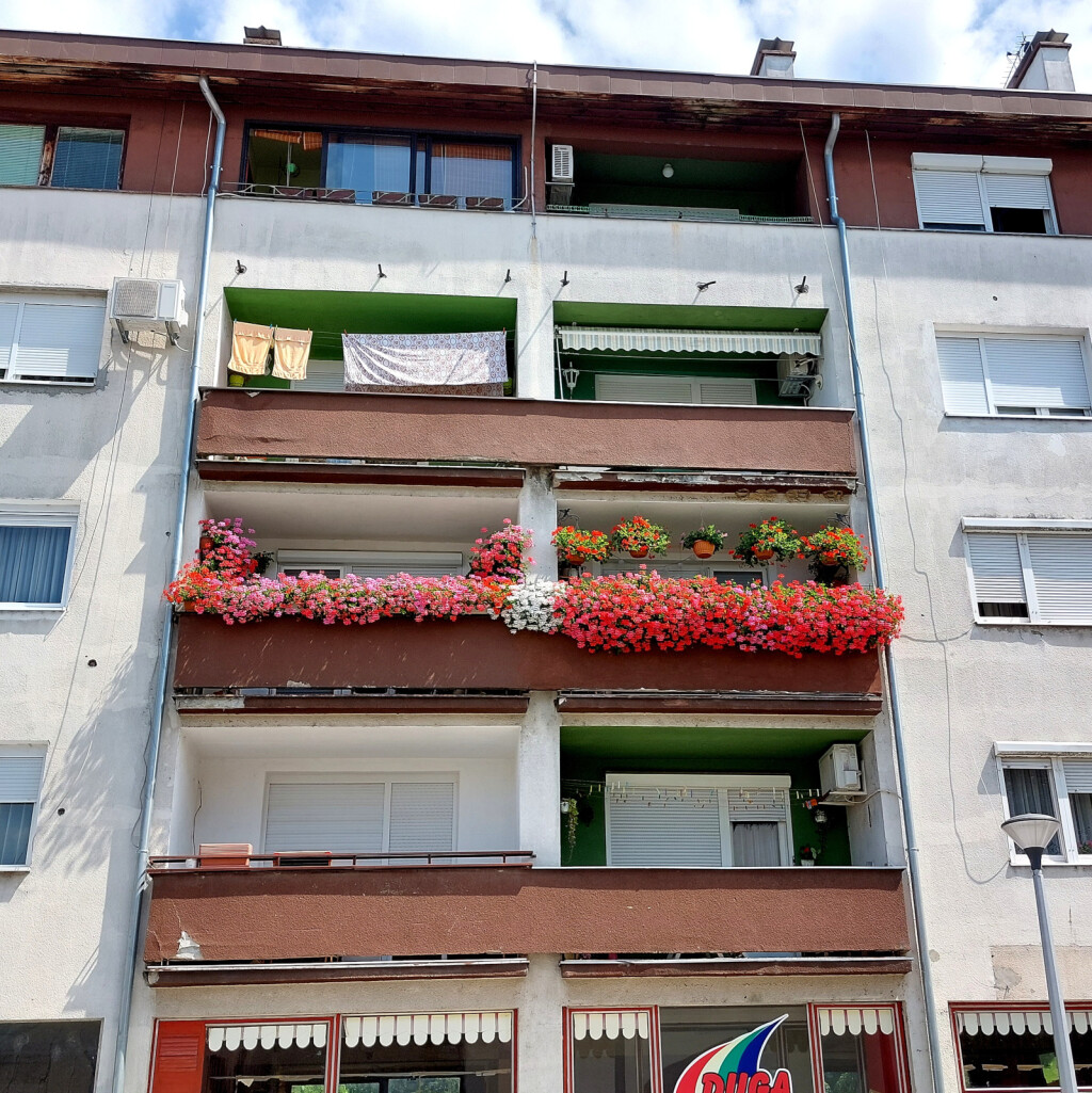Balkon u centru Valpova koji 'puca' od cvijeća i izaziva divljenje - 11