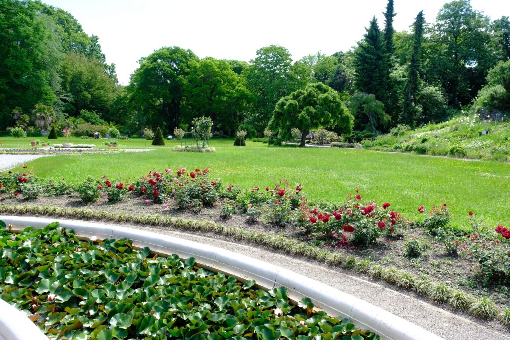Botanički vrt u Zagrebu