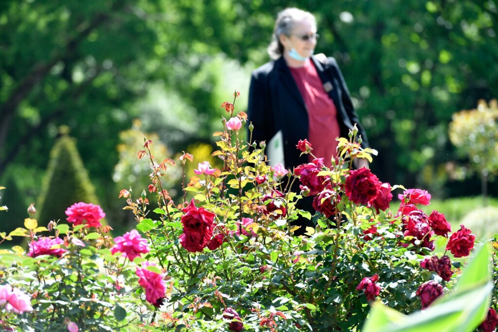 Botanički vrt u Zagrebu