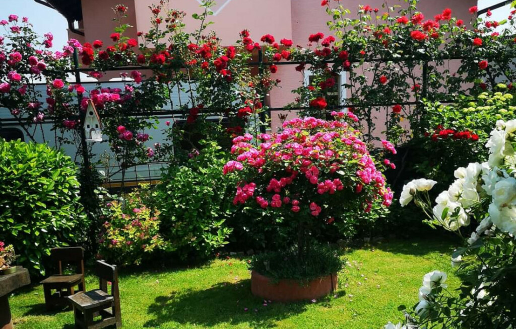 Dvorište Vesne Muže iz Petrinje jedno je od najljepših u tom kraju - 16