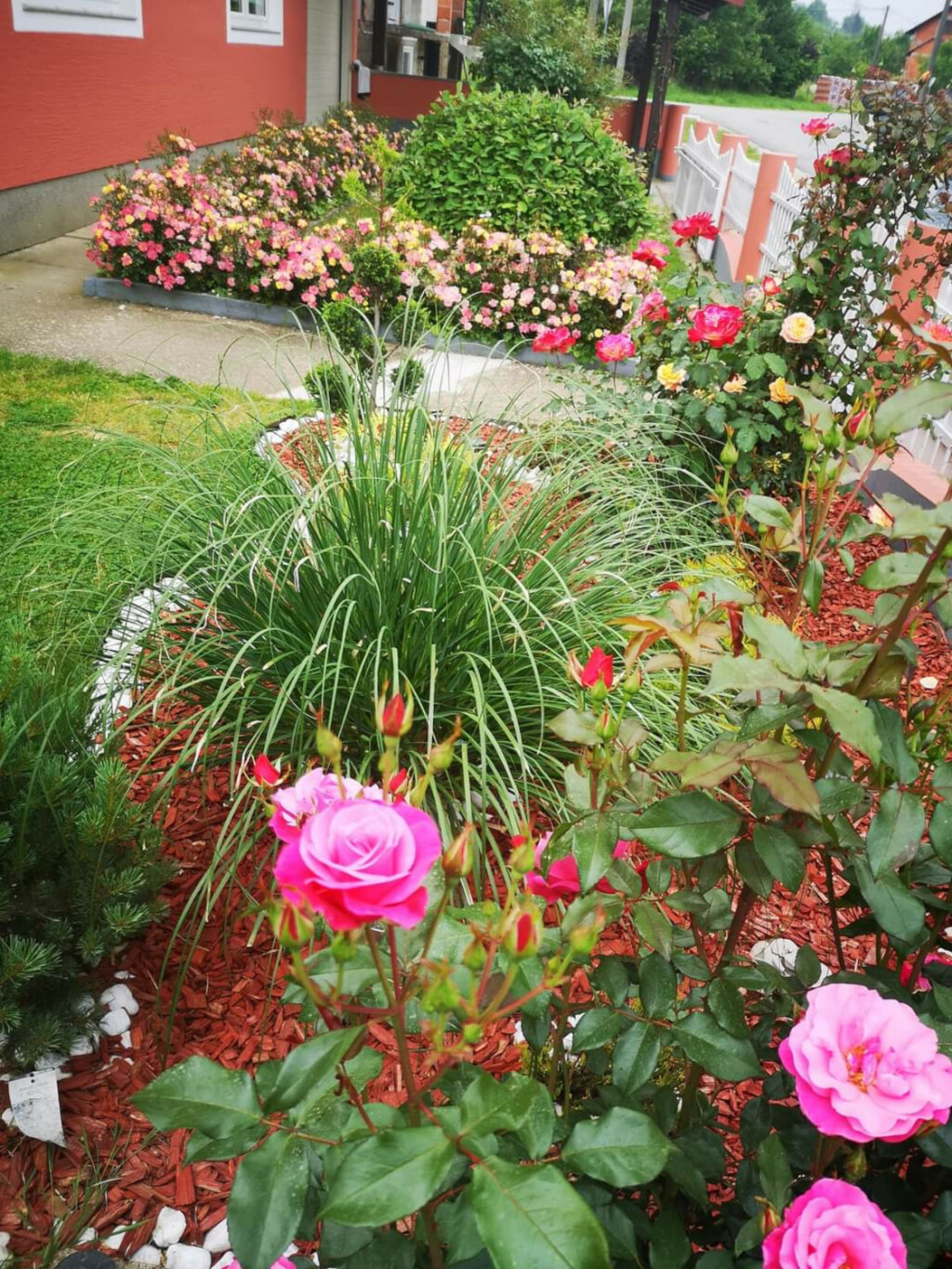 Dvorište Vesne Muže iz Petrinje jedno je od najljepših u tom kraju - 19