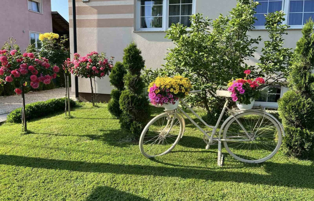 Medicinska sestra Marija Ričko ima najljepše dvorište u okolici Ludbrega - 8