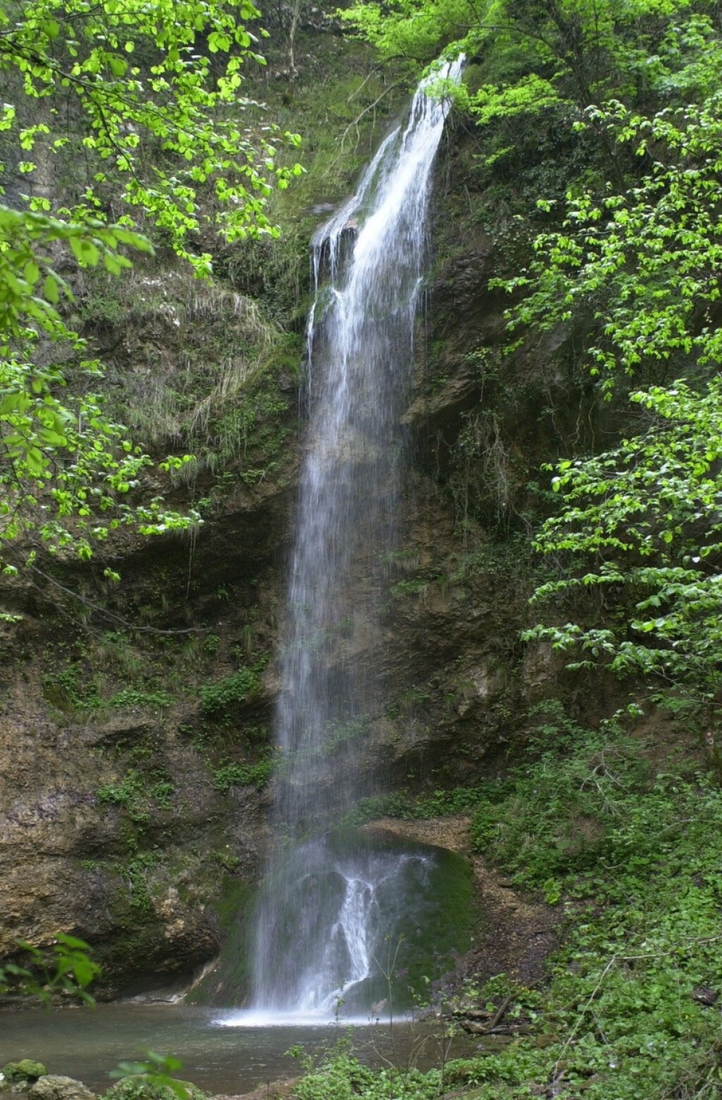 Slapnica - 12