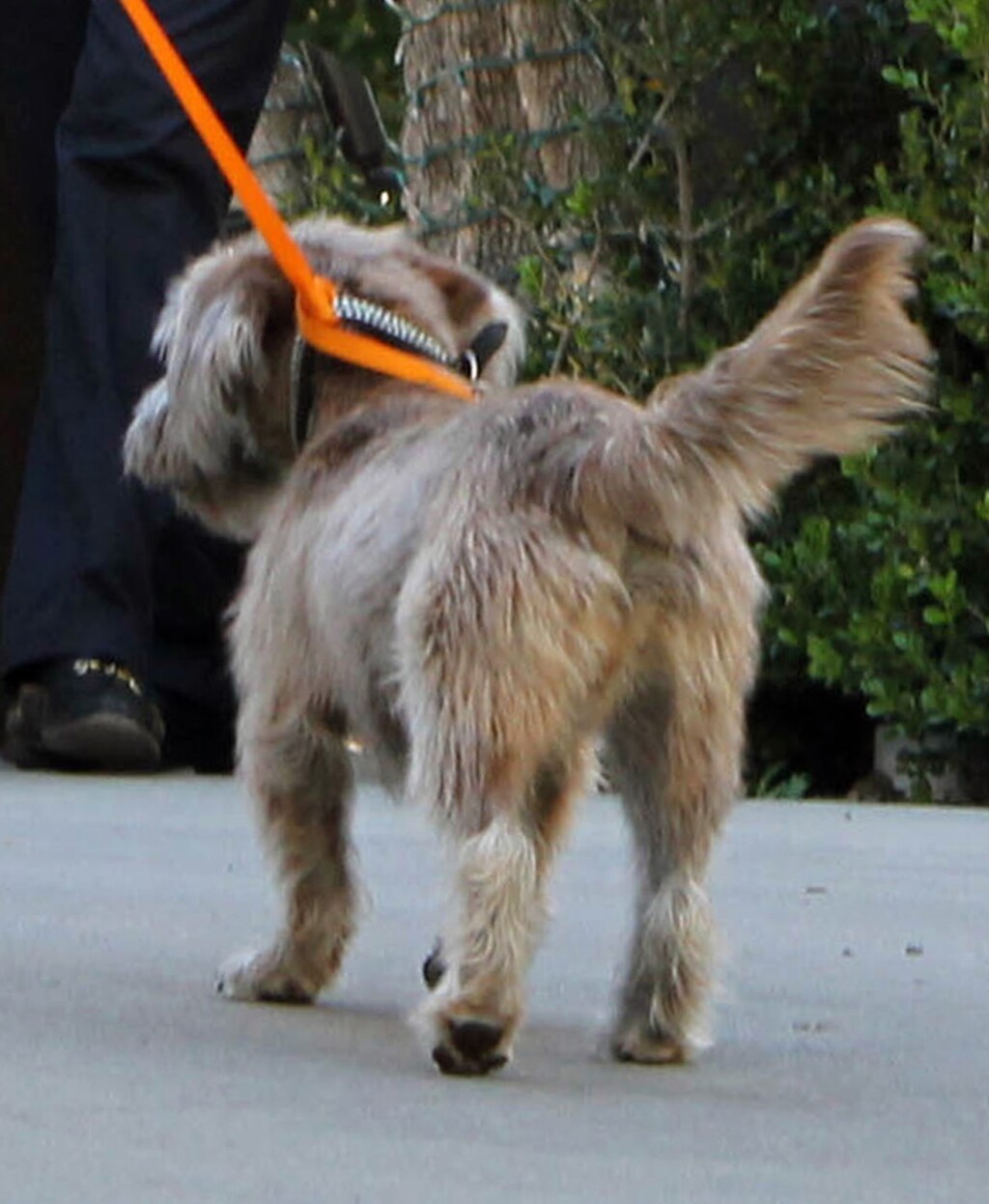 Jennifer Aniston najavila knjigu za djecu