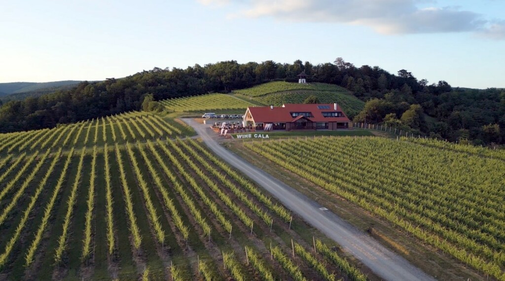 Uživanje u vinu i dobroj hrani s pogledom na vinograde