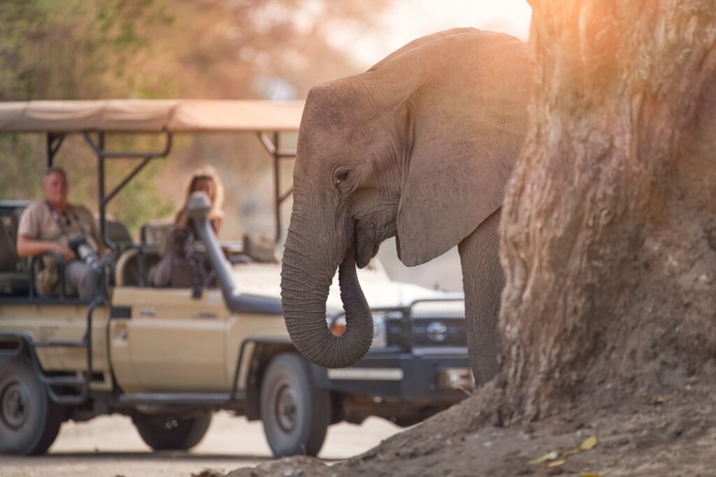 Mana Pools - 1