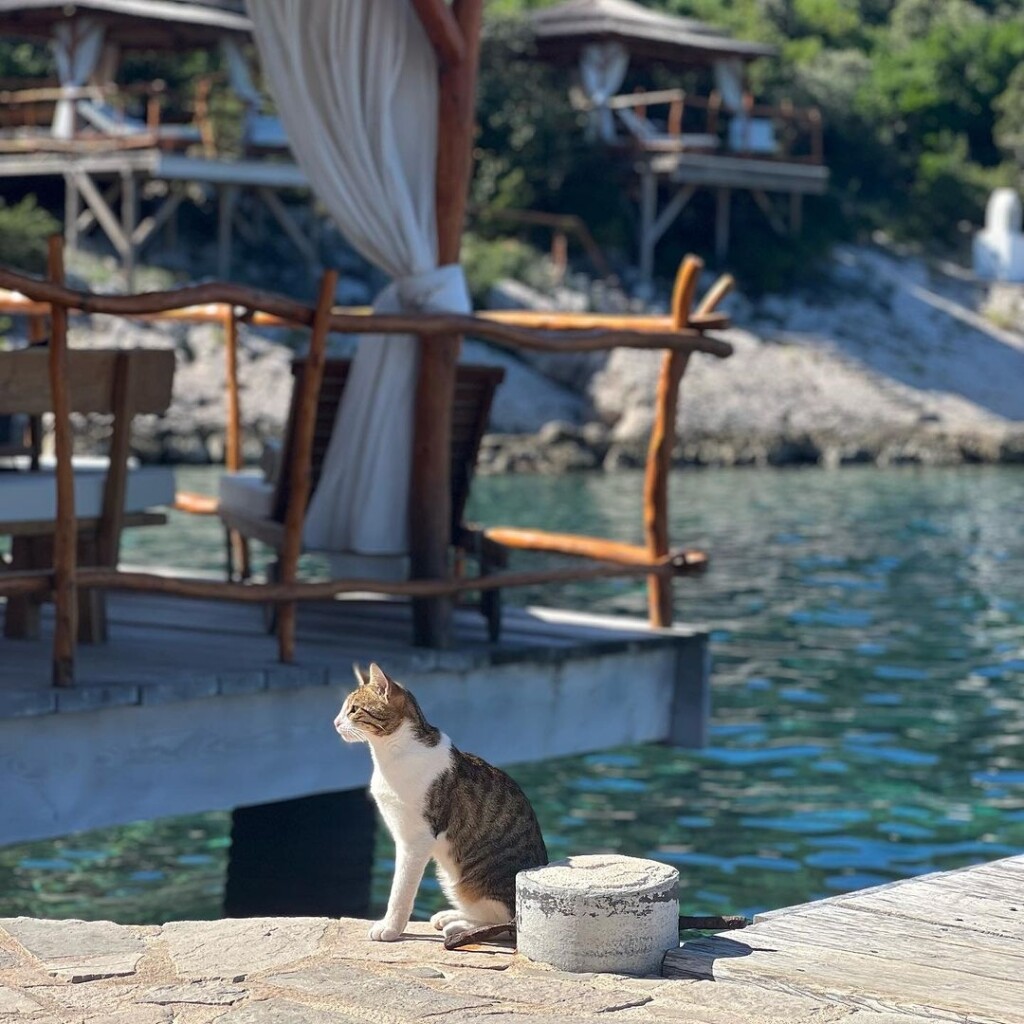 Restoran Bowa na Šipanu