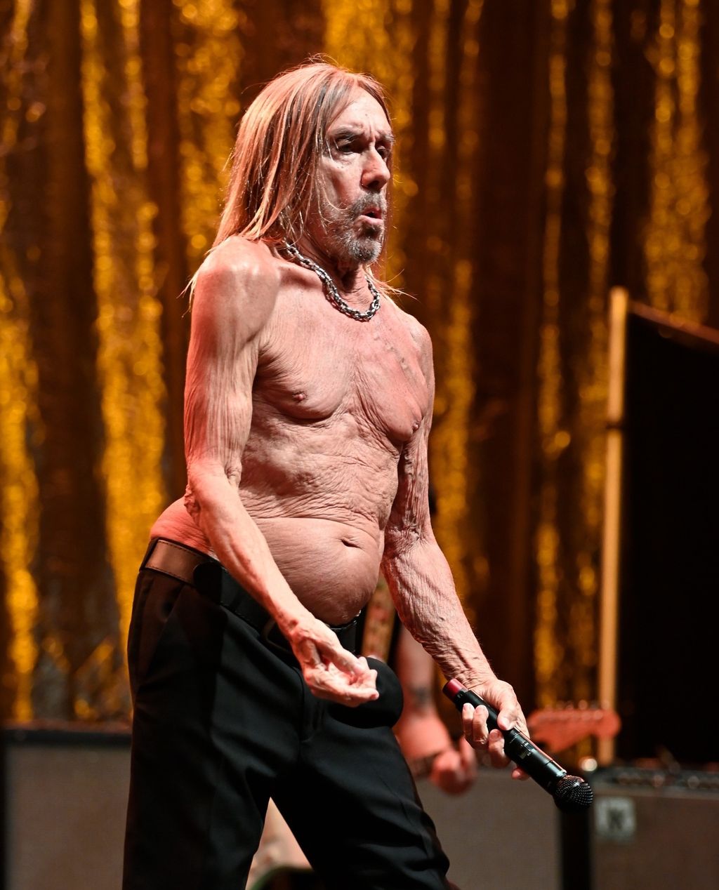 Iggy Pop