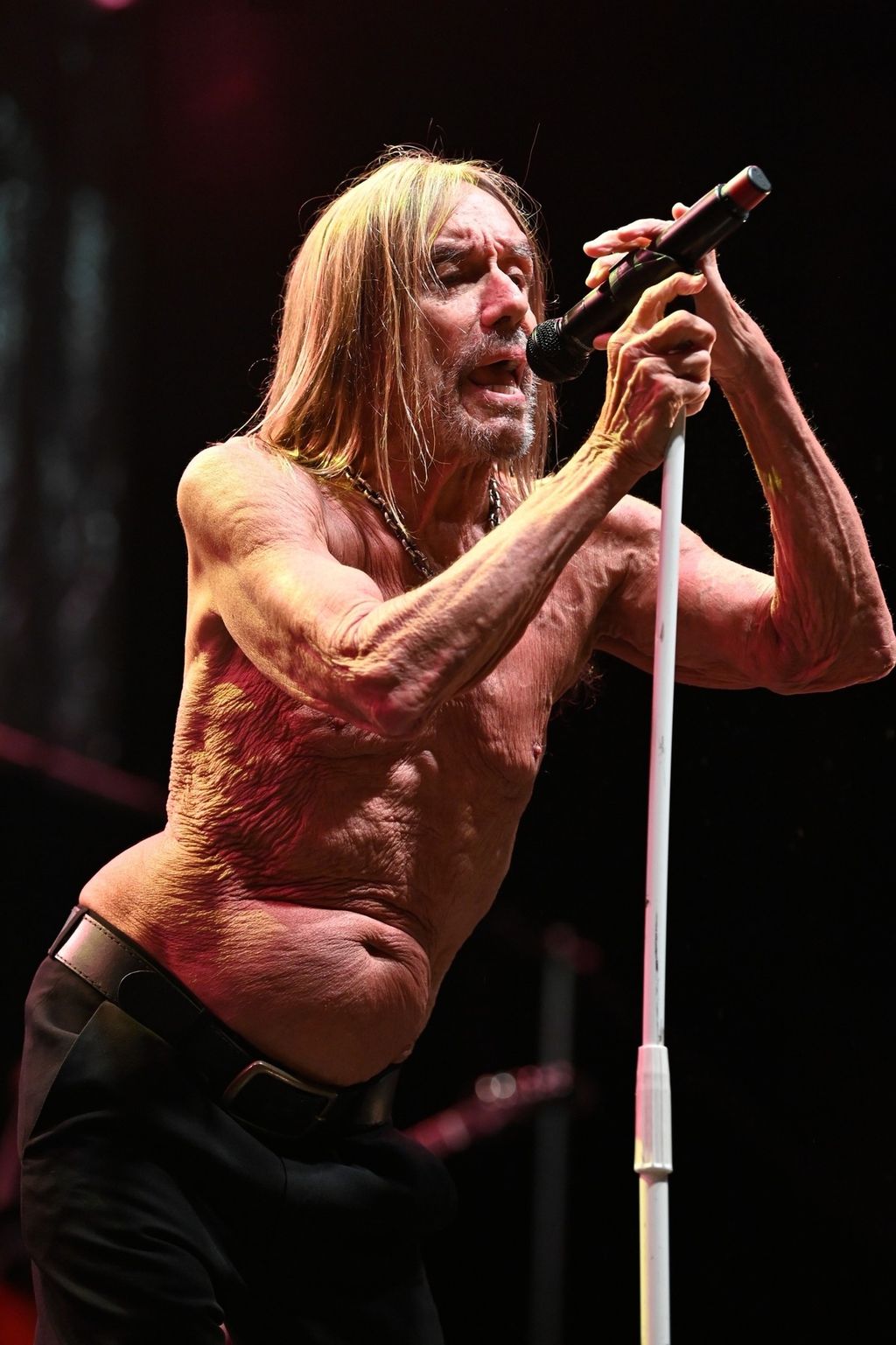 Iggy Pop