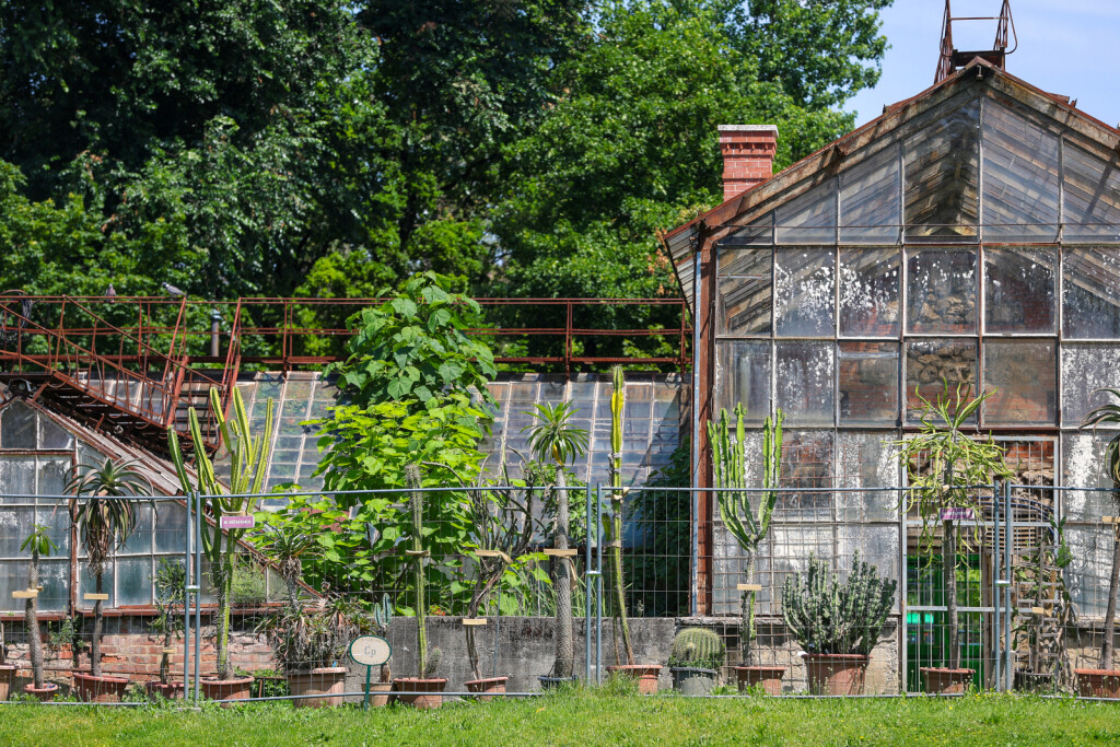 Lipanjska čarolija Botaničkog vrta u Zagrebu