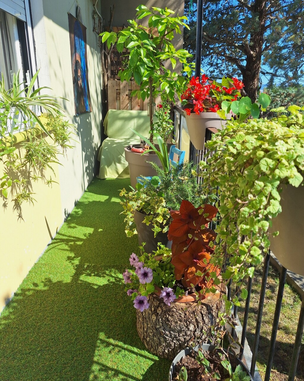 Crikvenički balkon Senke Fučkar