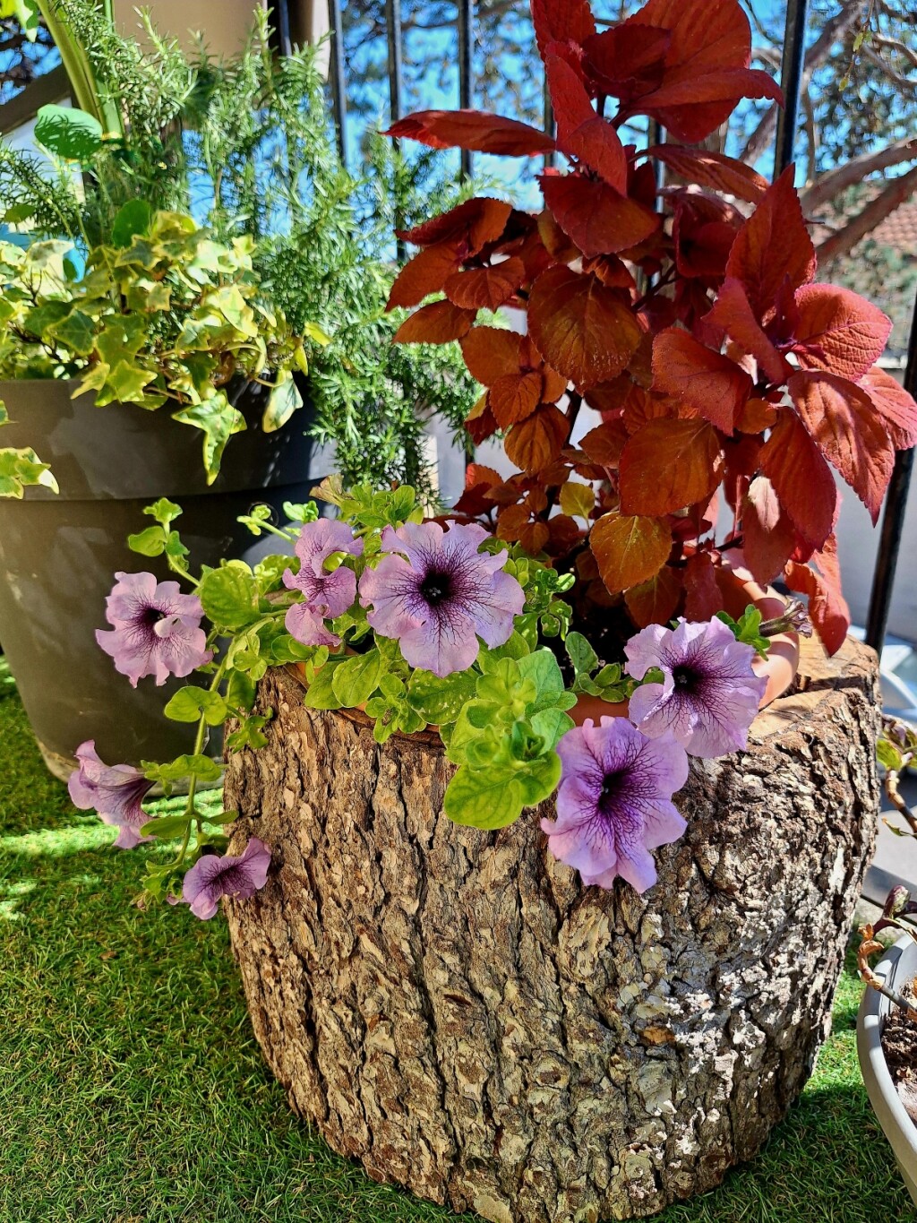 Crikvenički balkon Senke Fučkar