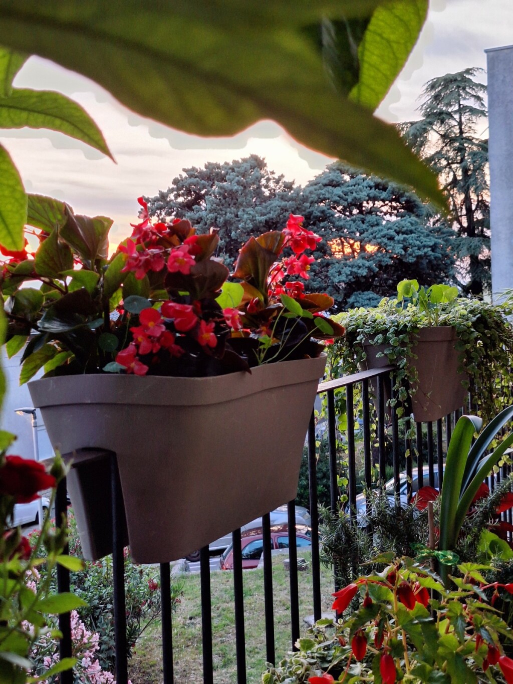Crikvenički balkon Senke Fučkar