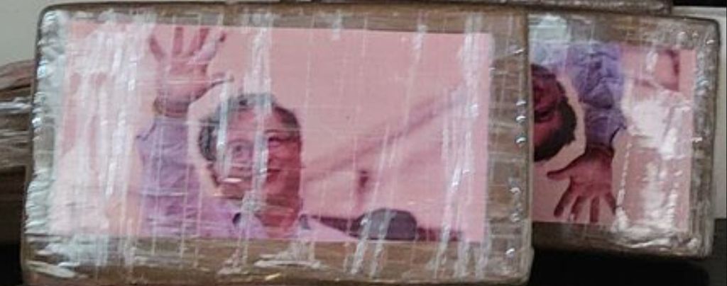 Marinika Tepić tvrdi da je na paketu droge slika Aleksandra Vučića
