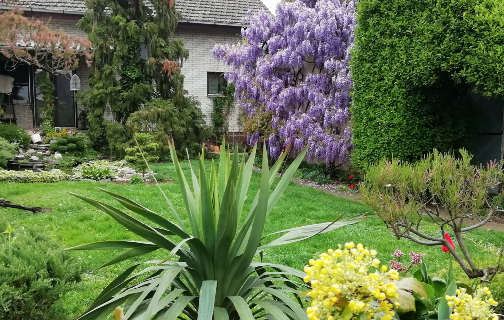 Vrt Branke Markovanović iz Čepina izgleda poput najljepšeg raja - 22