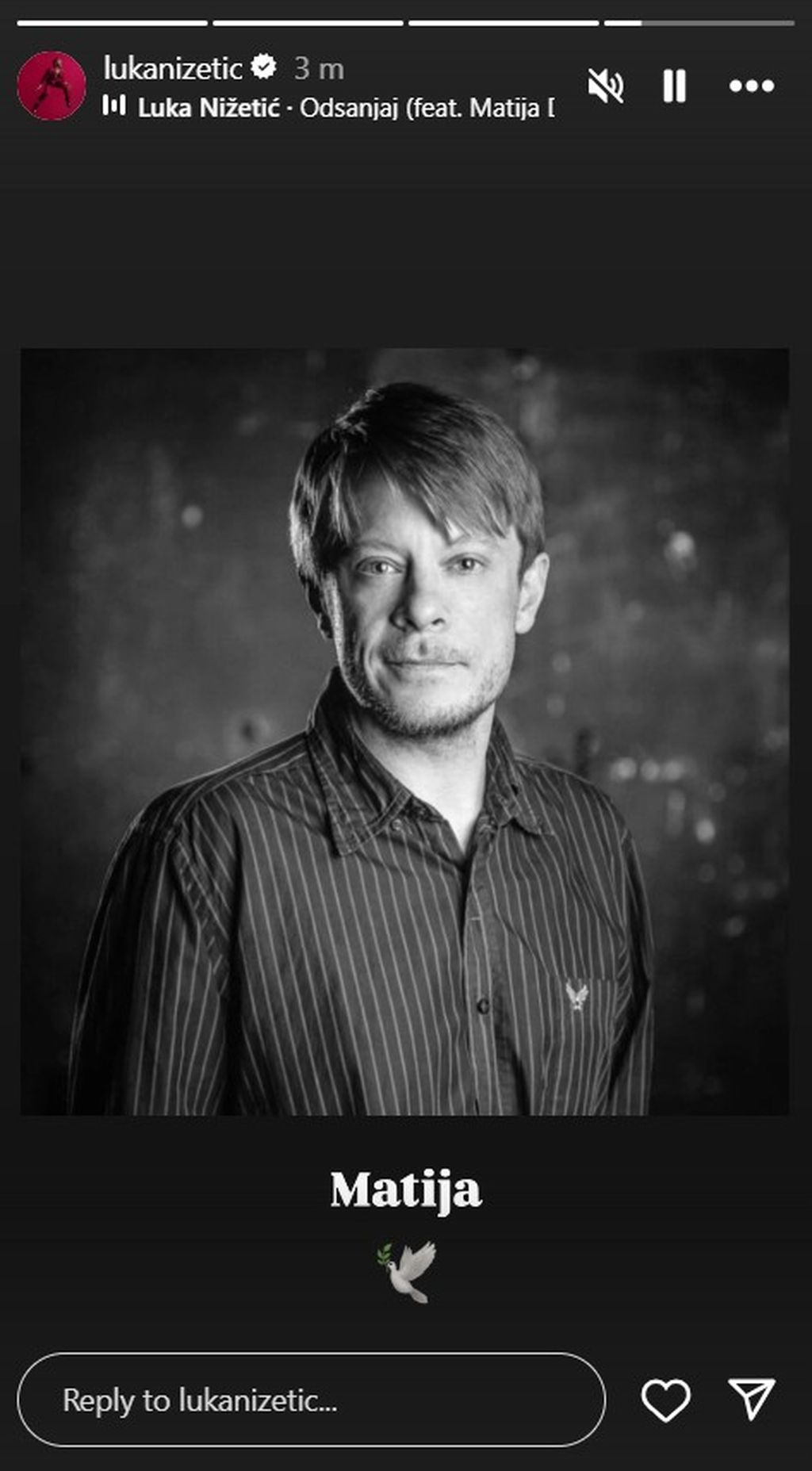 Luka Nižetić na Instagramu
