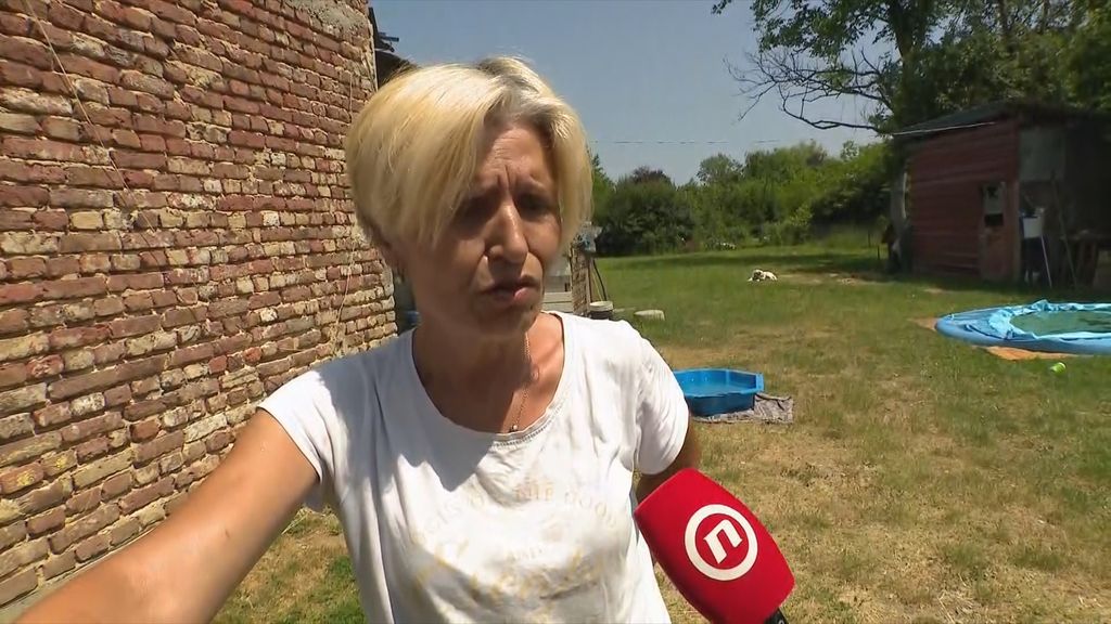 Anita