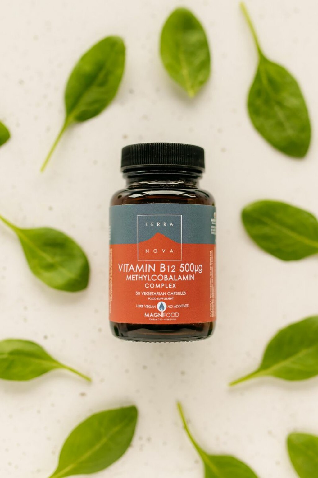 Avemed dodaci prehrani: Terranova Vitamin B12