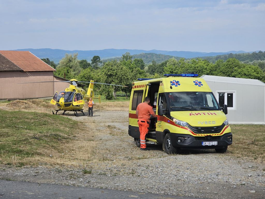 Na ženu palo stablo u šumi - 4