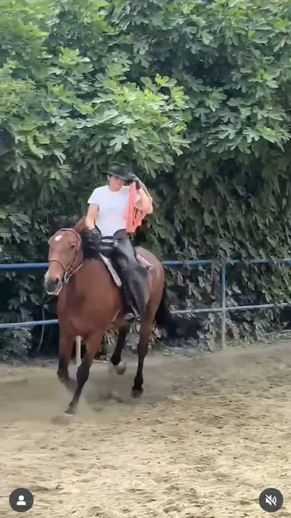 Katarina Perković - 4