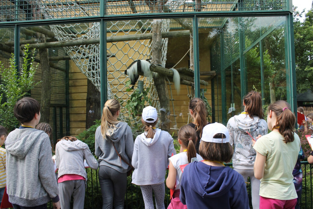 Tijekom ljetnih školskih praznika u Zoološkom vrtu Grada Zagreba održava se Divlje ljeto - 3