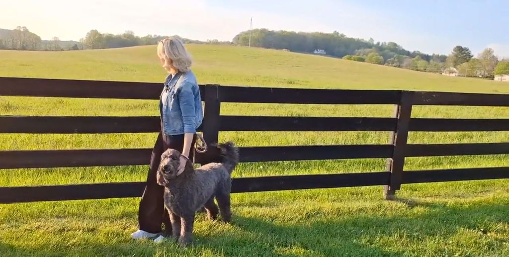 In Magazin: Tajči - 4