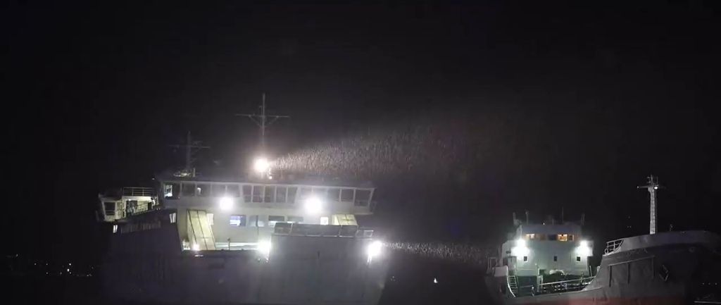 Skoro tragedija u Zadru - 1